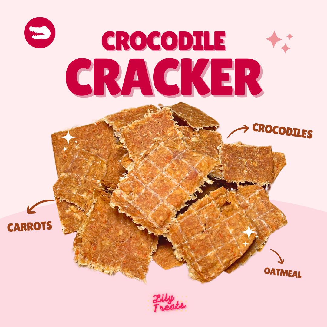 鱷魚肉脆餅 Crocodile cracker